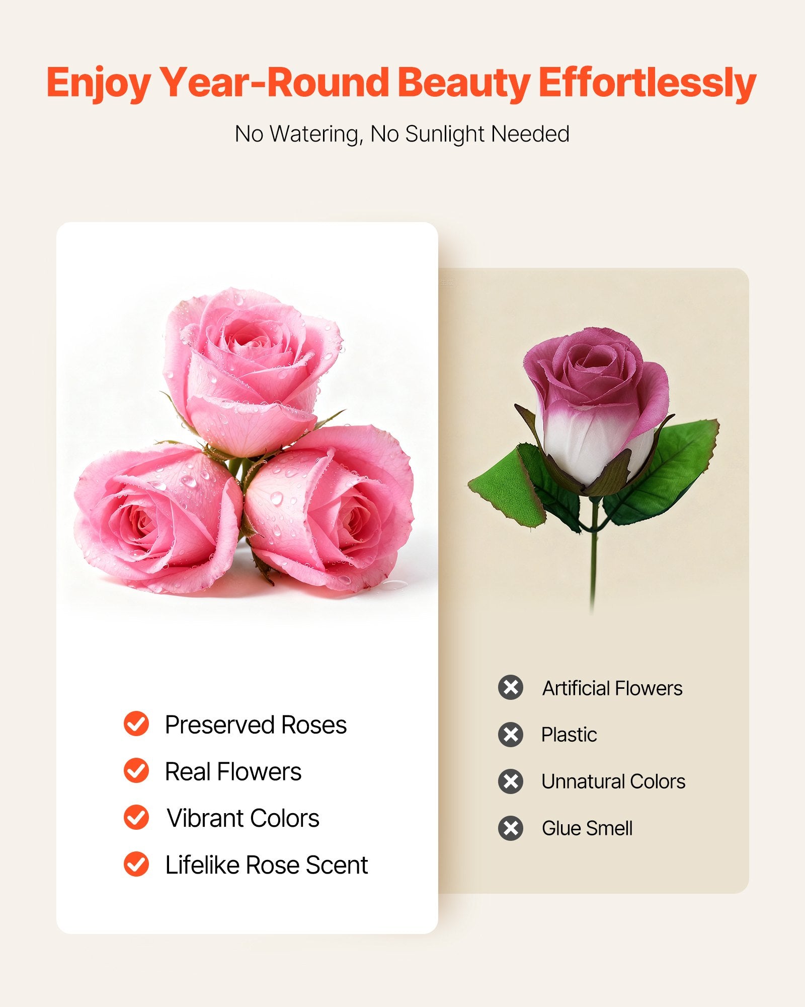 50 Preserved Roses Forever Bouquet – Round Gift Box